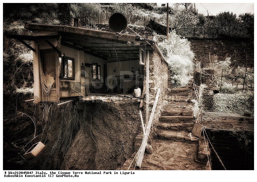 ������, �������, ������ �����, ��������, ��������, ��������, ����������, ����, ����, �����, �����, ������, �������, �������, ��������, ���������