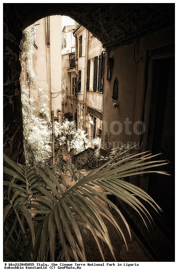 ������, �������, ������ �����, ��������, ��������, ��������, ����������, ����, ����, �����, �����, ������, �������, �������, ��������, ���������