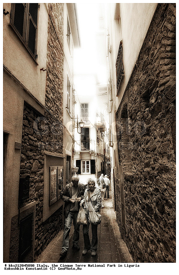 ������, �������, ������ �����, ��������, ��������, ��������, ����������, ����, ����, �����, �����, ������, �������, �������, ��������, ���������