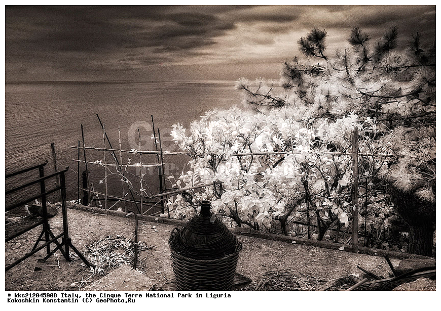 ������, �������, ������ �����, ��������, ��������, ��������, ����������, ����, ����, �����, �����, ������, �������, �������, ��������, ���������