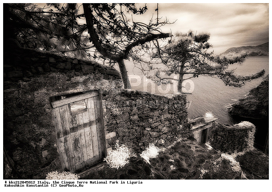 ������, �������, ������ �����, ��������, ��������, ��������, ����������, ����, ����, �����, �����, ������, �������, �������, ��������, ���������