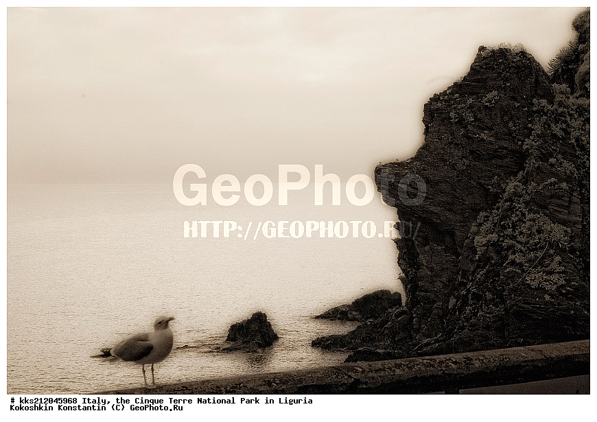 ������, �������, ������ �����, ��������, ��������, ��������, ����������, ����, ����, �����, �����, ������, �������, �������, ��������, ���������