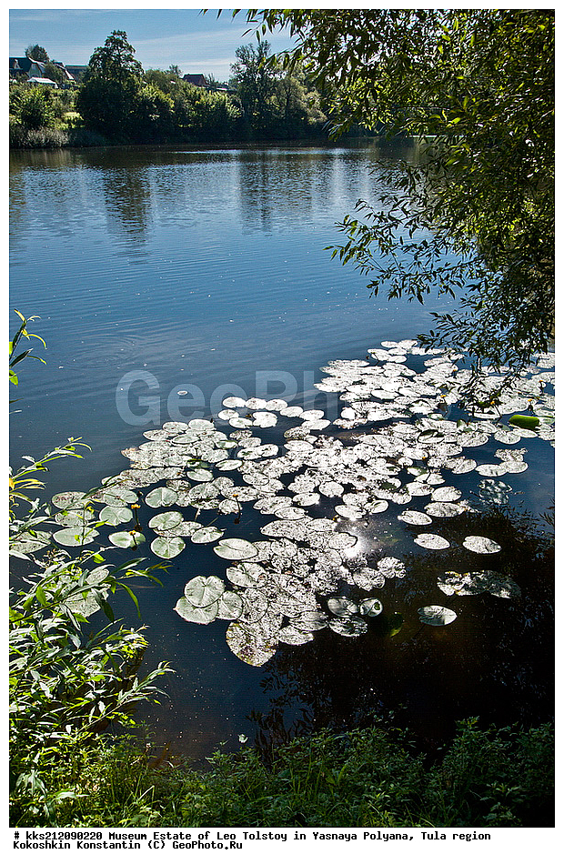 ����� ������, ��� �������, �����, �������, ����, ��� ��������, ��� �����������, ������� ����������, ����, ���, ����, �����, ���������, �������, �������� �����, ��������