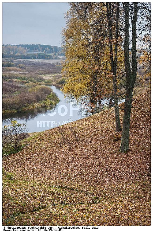 ��������� ��������� ������, ������� ��������, ������������ �������, ������������, ����������, ������������, ���������� ����, ������� �����, ����������, ����������, ������, ��������, �����, �����, ����, ������, ��������� �����, �������, ���� ������, �������