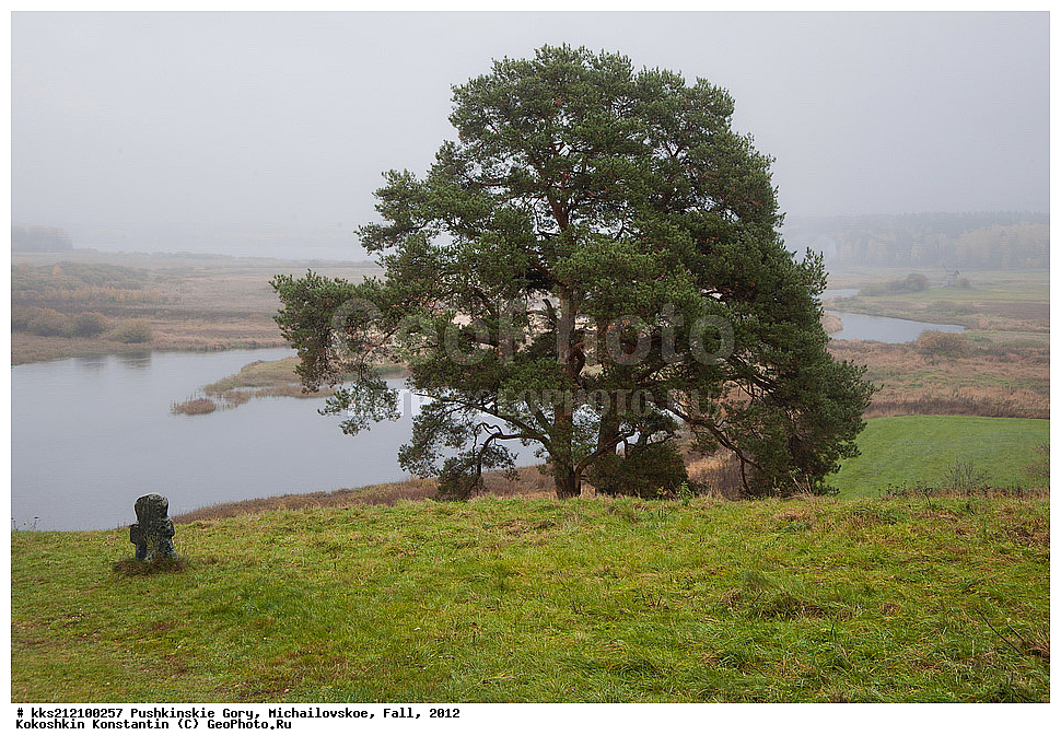 ��������� ��������� ������, ������� ��������, ������������ �������, ������������, ����������, ������������, ���������� ����, ������� �����, ����������, ����������, ������, ��������, �����, �����, ����, ������, ��������� �����, �������, ���� ������, �������