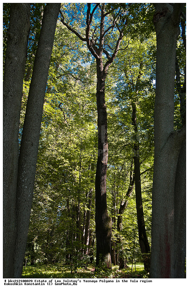 �������, ��� �������, ����� ������, �������� �������, ����� ������, ��� �������, �����, �������, ����, ��� ��������, ��� �����������, ������� ����������, ����, ���, ����, �����, ���������, �������, �������� �����, ��������