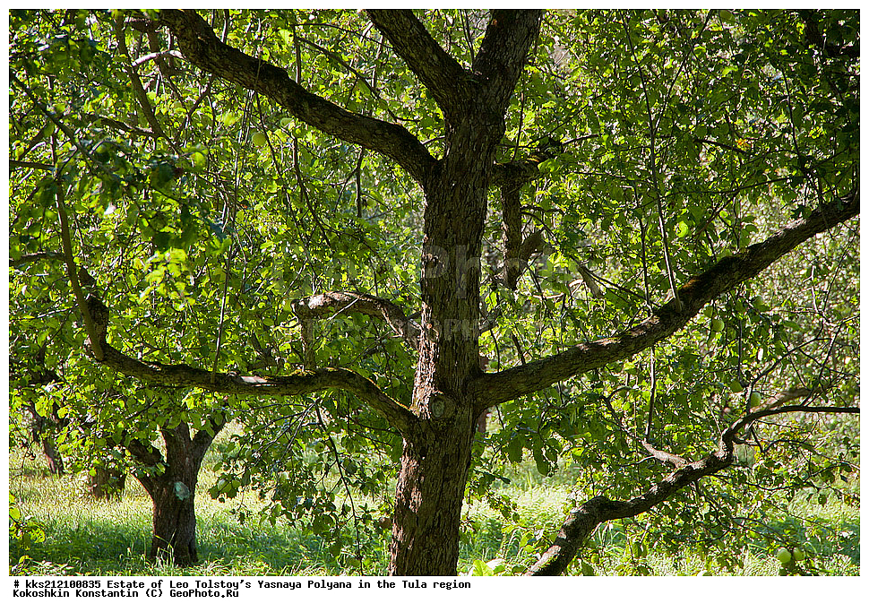 �������, ��� �������, ����� ������, �������� �������, ����� ������, ��� �������, �����, �������, ����, ��� ��������, ��� �����������, ������� ����������, ����, ���, ����, �����, ���������, �������, �������� �����, ��������