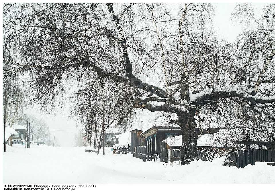 ����� �������, �������� �������, ����