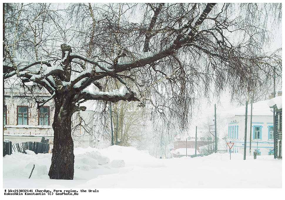 ����� �������, �������� �������, ����