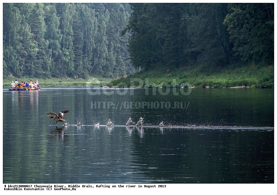 �������, ����, ����, ����, ����� , �� �������