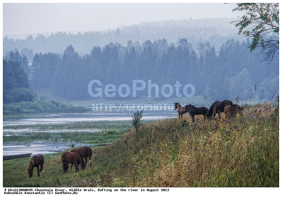 �������, ����, ����, ����, ����� , �� �������