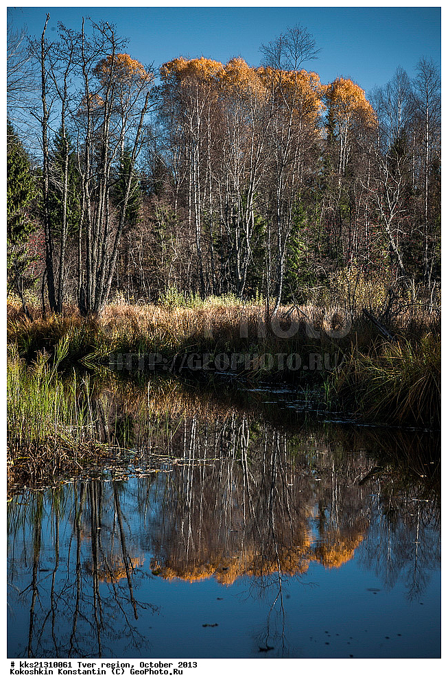 �����, �������������, ������ ���������, ��������, ������� �����, �����, ����� �����, ������, �������, �������