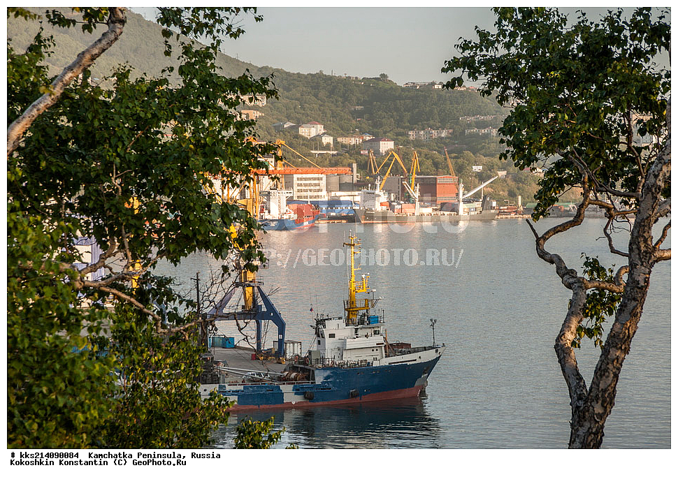 ���������� ����, ����������, ��������, ������, �������������-����������, ���������, ����� �����