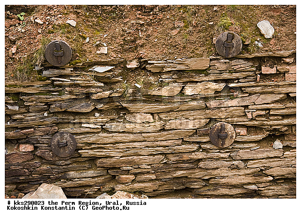 ��������, �������� ���������������� �����, �������� �������, ����, �����, ���������, ���������������� �����, �����������