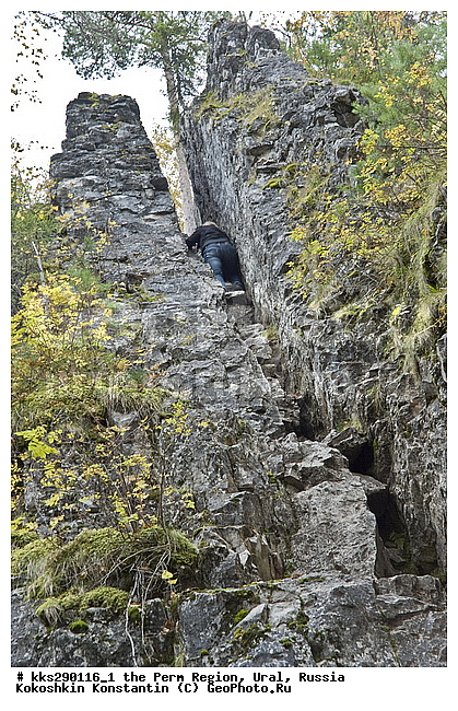 ���������, ��������� ��������, �������� �������, ����, ��������, �������, �����, ������