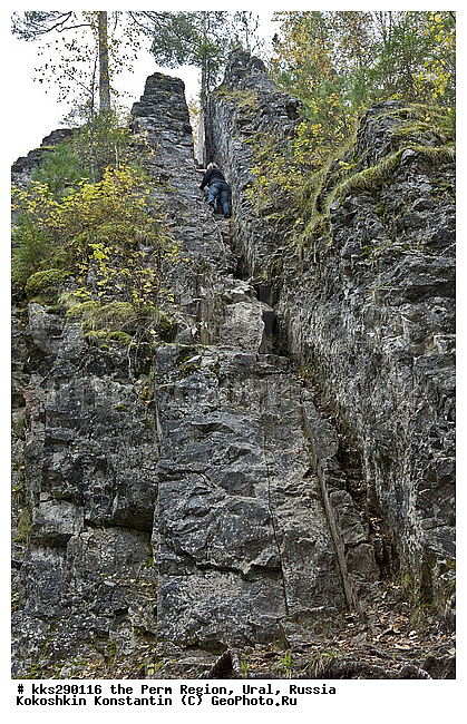 ���������, ��������� ��������, �������� �������, ����, ��������, �������, �����, ������