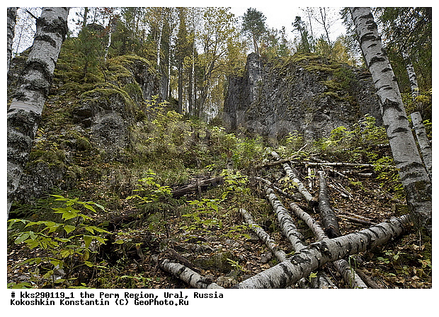 ���������, ��������� ��������, �������� �������, ����, ��������, �������, ������, �������