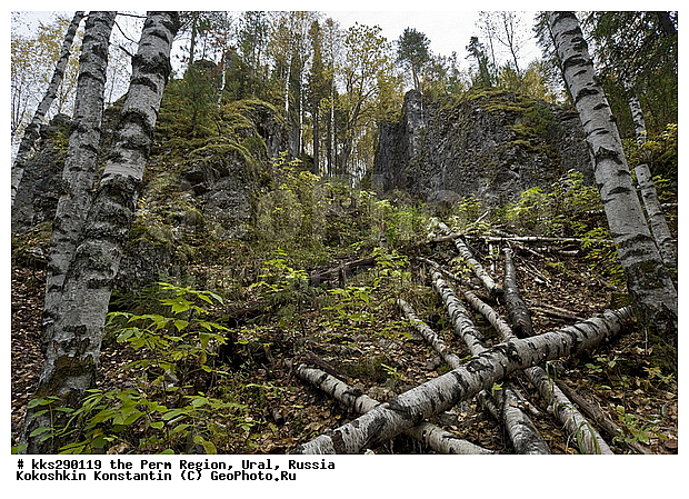 ���������, ��������� ��������, �������� �������, ����, ��������, �������, ������, �������