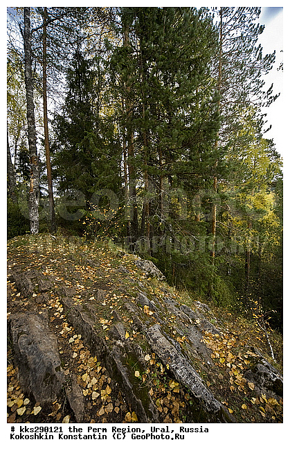 ���������, ��������� ��������, �������� �������, ����, ��������, �������