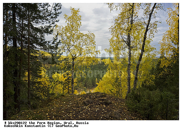 ���������, ��������� ��������, �������� �������, ����, ��������, �������