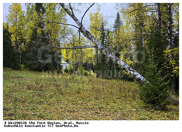 ���������, ��������� ��������, �������� �������, ���������, ����, ��������, �������, �������