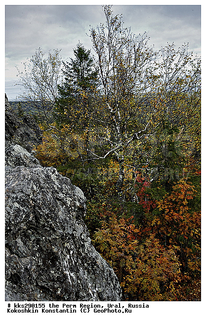 �������, ������� ����, �������� �������, ����, ����, �����