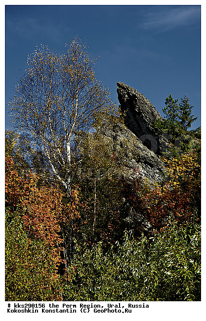 �������, ������� ����, �������� �������, ����, ����, �����