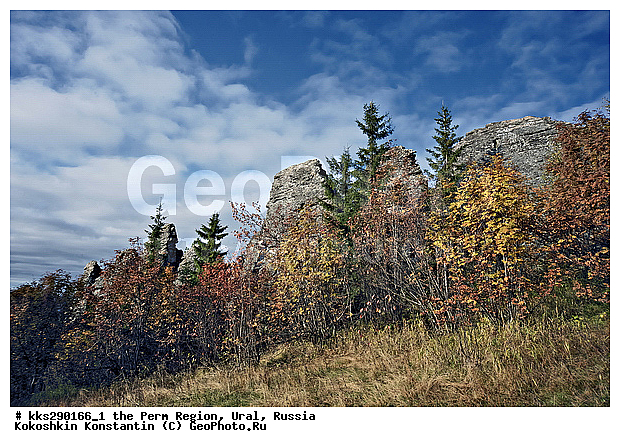 �������, ������� ����, �������� �������, ����, ����, �����