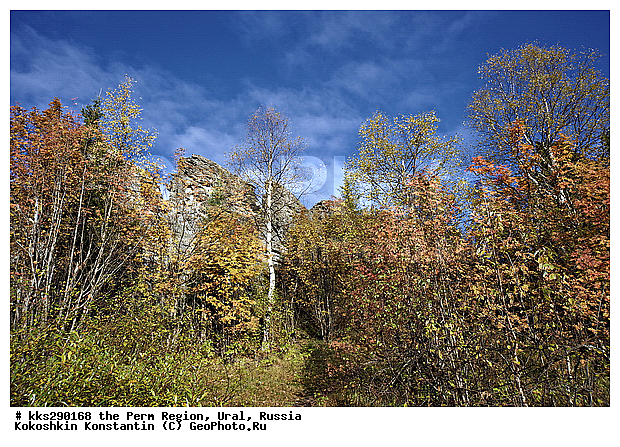 �������, ������� ����, �������� �������, ����, ����, �����