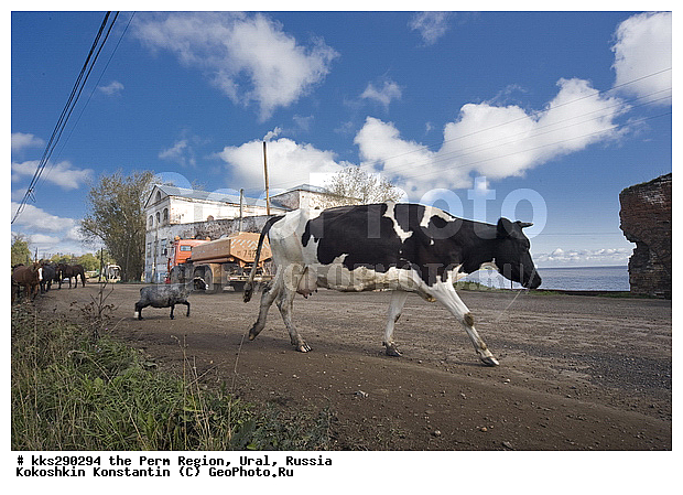 �������� �������, �����, ����, ����������, �������, �����