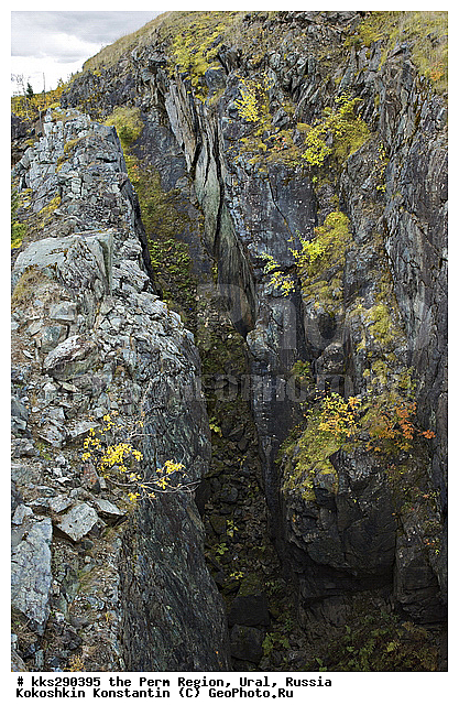 �������������� �����, �������� �������, ������, ����, ������, �������, ������, ��������