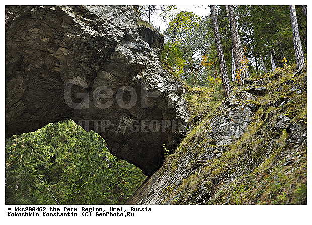 �������������� �����, �������� �������, ����, ����-�����, �������, ������, �������