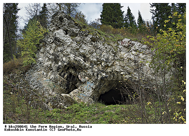 ����������� ���� �������, ��� ������, �������� �������, �������, ������, ������, ����