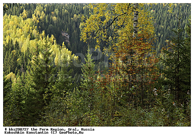 ����, ���������, ��������� �����, ������� �������, �����, ������, �����