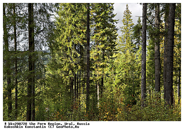 ����, ���������, ��������� �����, ������� �������, �����, ������, �����