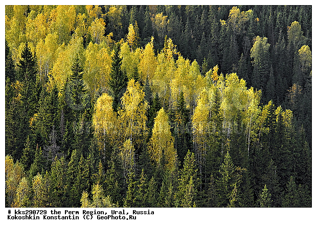 ����, ���������, ��������� �����, ������� �������, �����, ������, �����