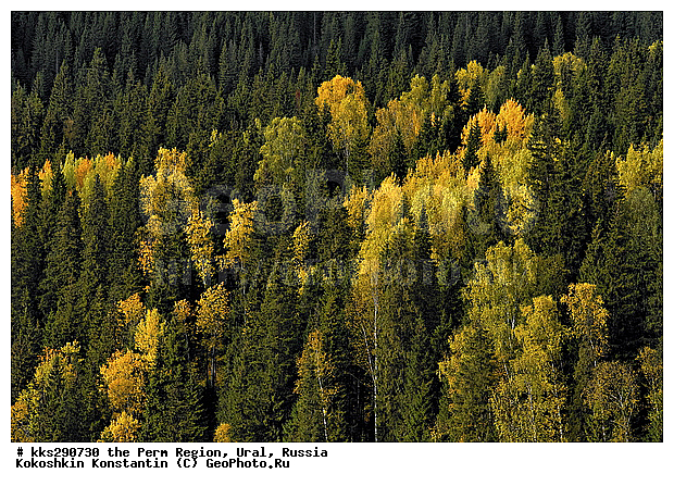 ����, ���������, ��������� �����, ������� �������, �����, ������, �����