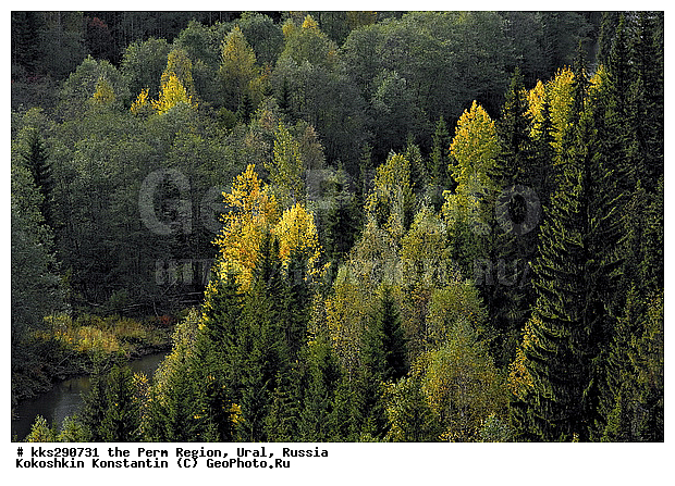 ����, ���������, ��������� �����, ������� �������, �����, ������, �����