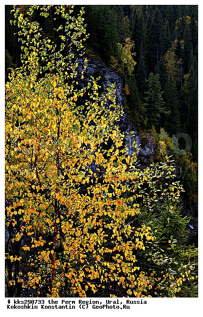 ����, ���������, ��������� �����, ������� �������, �����, ������, �����