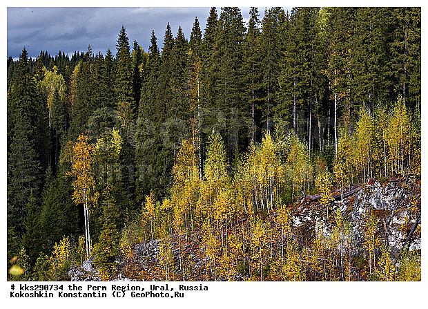 ����, ���������, ��������� �����, ������� �������, �����, ������, �����