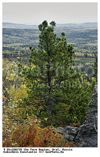 ����, ���������, ��������� �����, ������� �������, �����, ������, �����