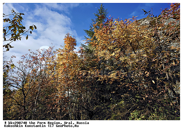 ����, ���������, ��������� �����, ������� �������, �����, ������, �����