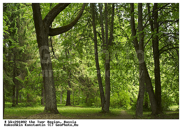 �������, ������, �������� �������, �������, ������� �������, ����