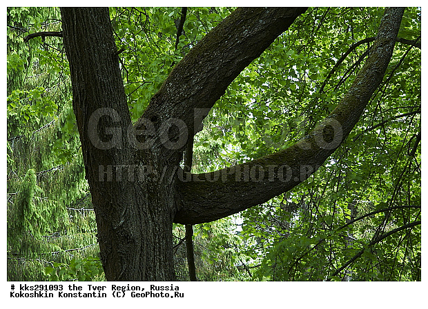 �������, ������, �������� �������, �������, ������� �������, ����