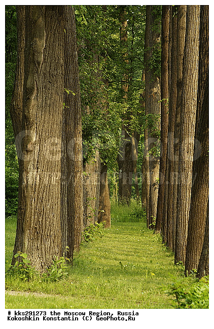 �����, ���������� �������, ������, ������� �����, �����, �����������, �������