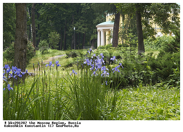 �����, ���������� �������, ������, ������� �����, �����������, ����, �������