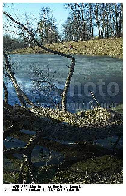 ����������, ���������, ��������, ���������� �������, ������, ������� ��������, �����������, �������