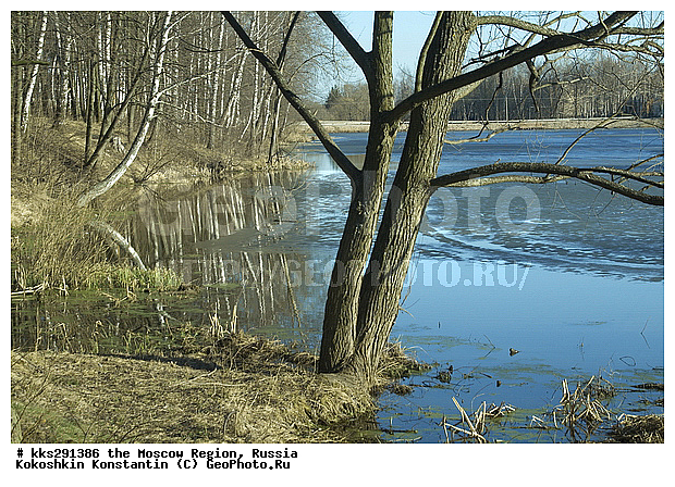 ����������, ���������, ��������, ���������� �������, ������, ������� ��������, �����������, �������