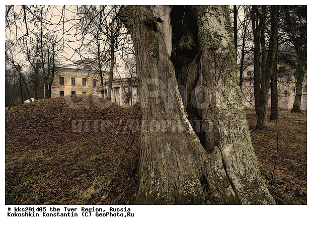 ����������-����, ������, �������� �������, �������, ������� ����������-����