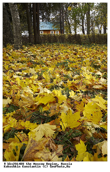 �. �. �����, ��������, ���������� �������, ������, ������� ��������, �����, �����������, ���, ���-����� �. �. ������, �����, �������, ���, �������